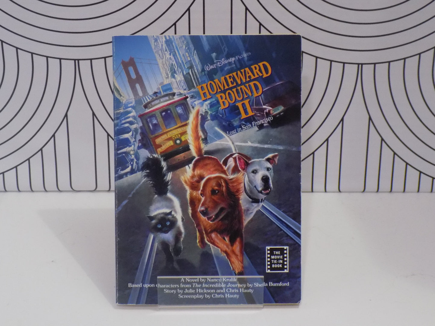 Homeward Bound II: Lost in San Francisco