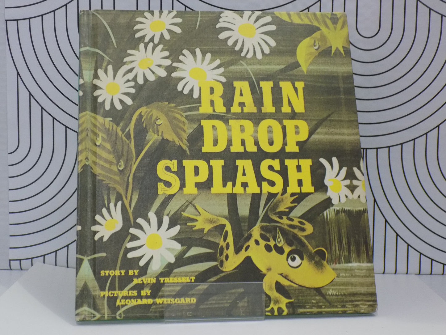 Rain Drop Splash