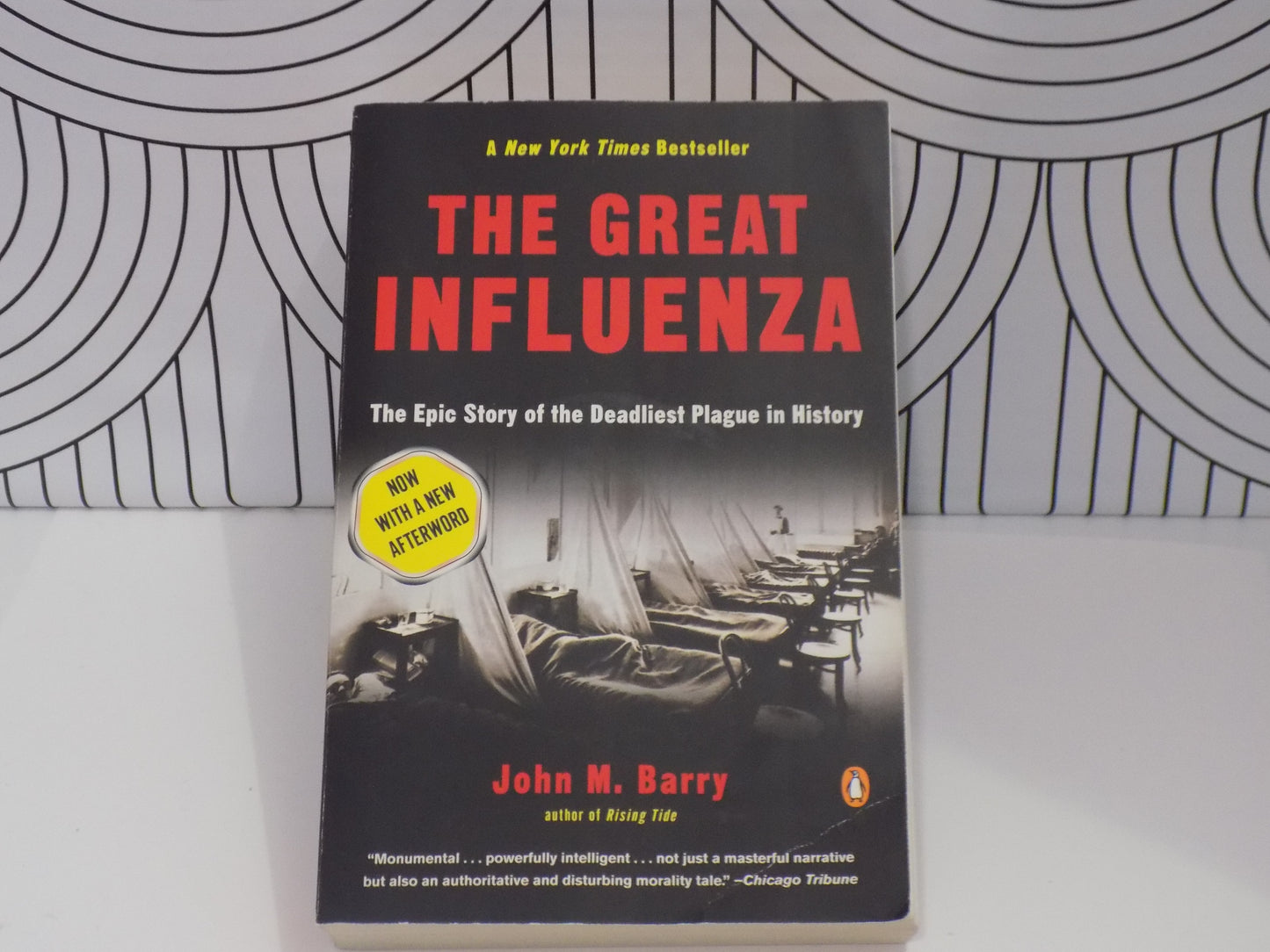 The Great Influenza: The Story of the Deadliest Pandemic in History