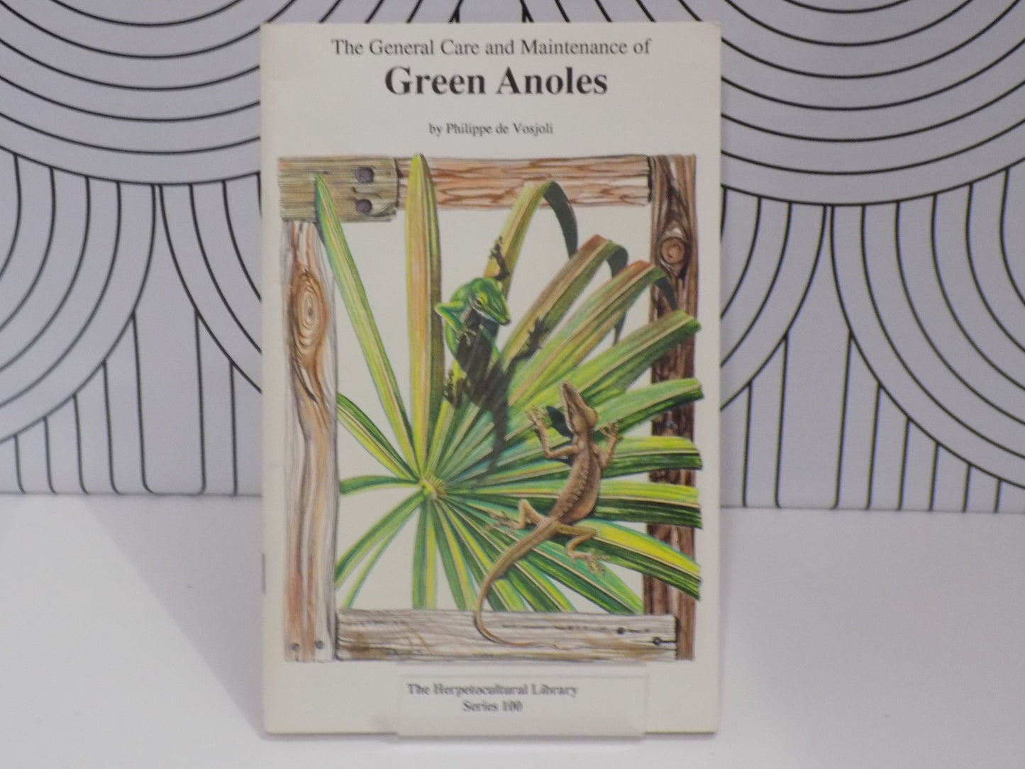 The General Care and Maintenance of Green Anoles