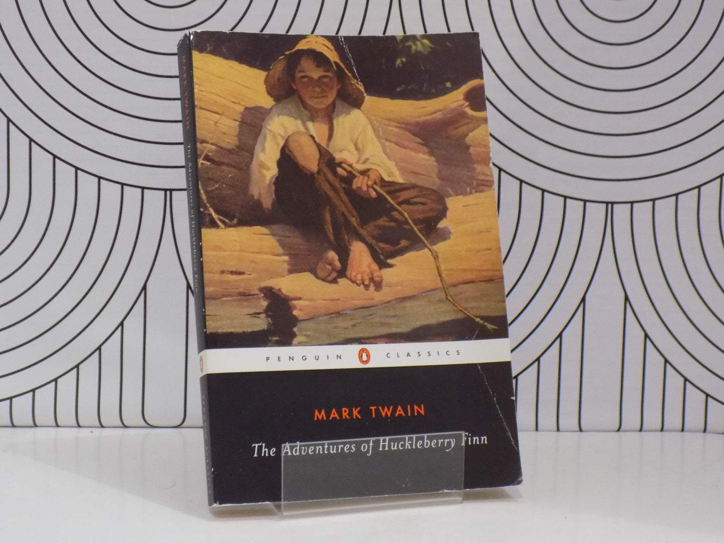 The Adventures of Huckleberry Finn