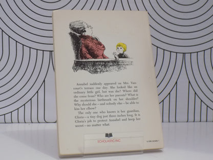 No Flying in the House