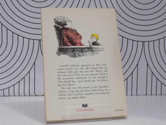 No Flying in the House