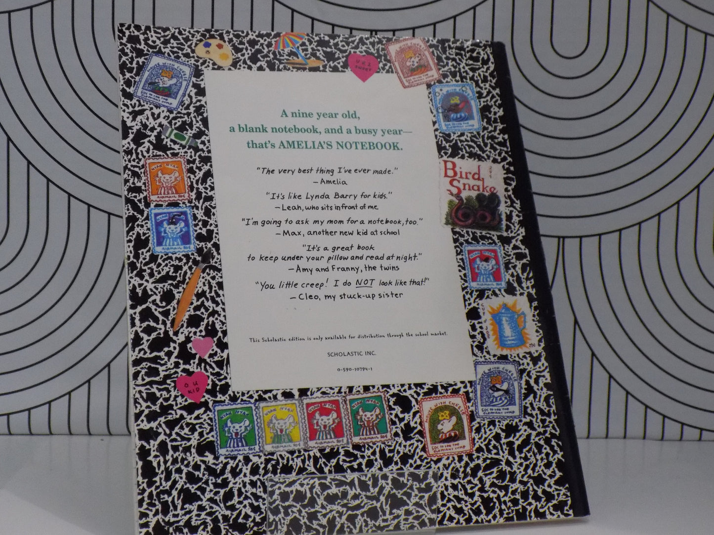 Amelia's Notebook