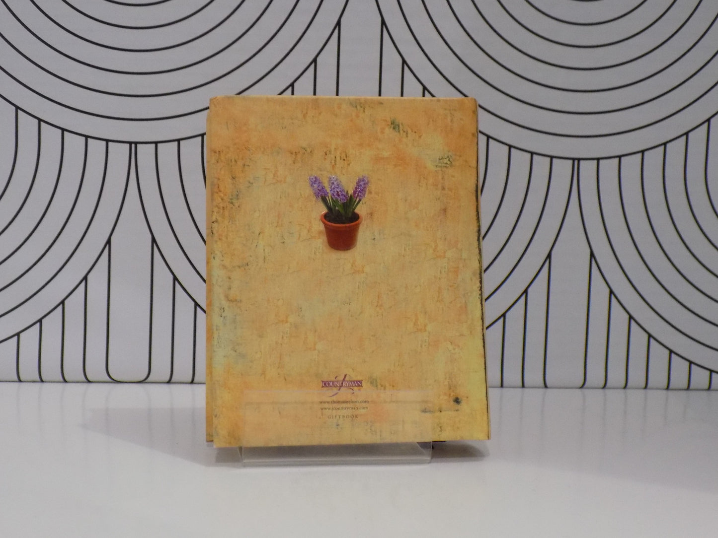 The Beauty of God's Blessings: Daily Inspirations for Women