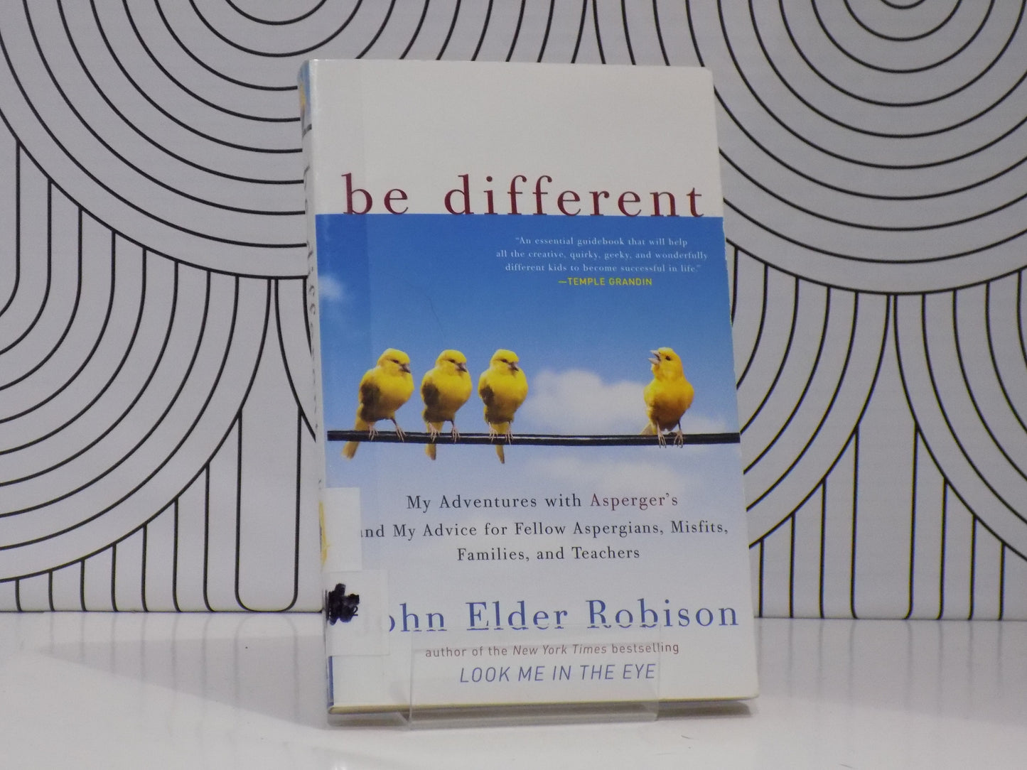 Be Different: My Adventures with Asperger's and My Advice for Fellow Aspergians, Misfits, Families, and Teachers