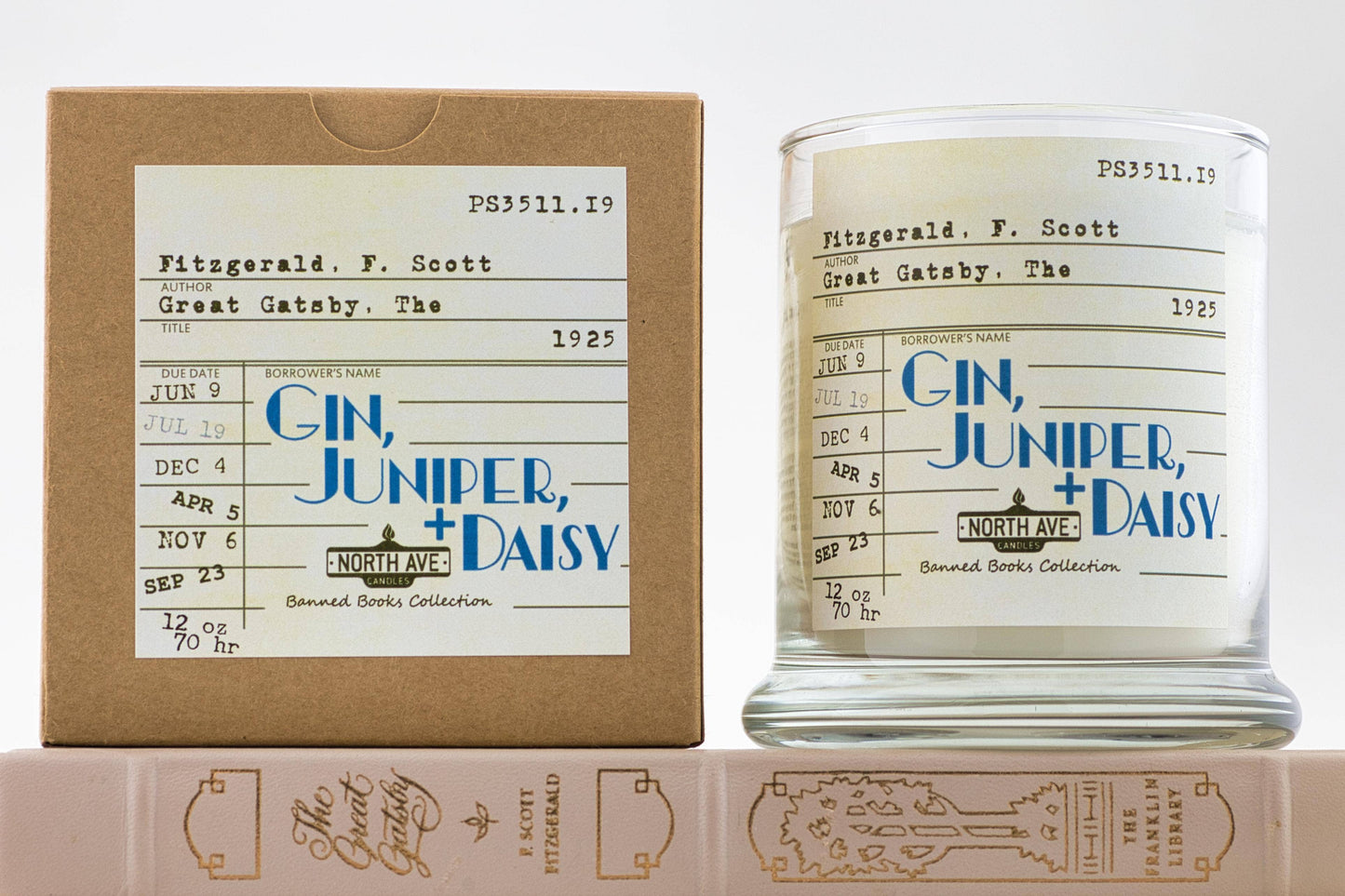 Banned Book Candle / The Great Gatsby / Book Lover Gift: Display box